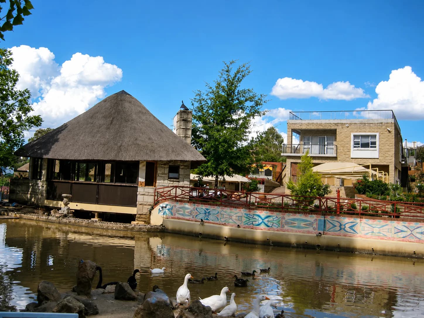 Black Swan Guesthouse — Maseru, LS cover photo